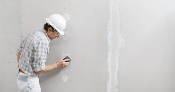 Best Basement Mold Removal  in USA